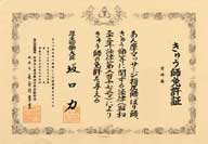 きゅう師免許証（見本）